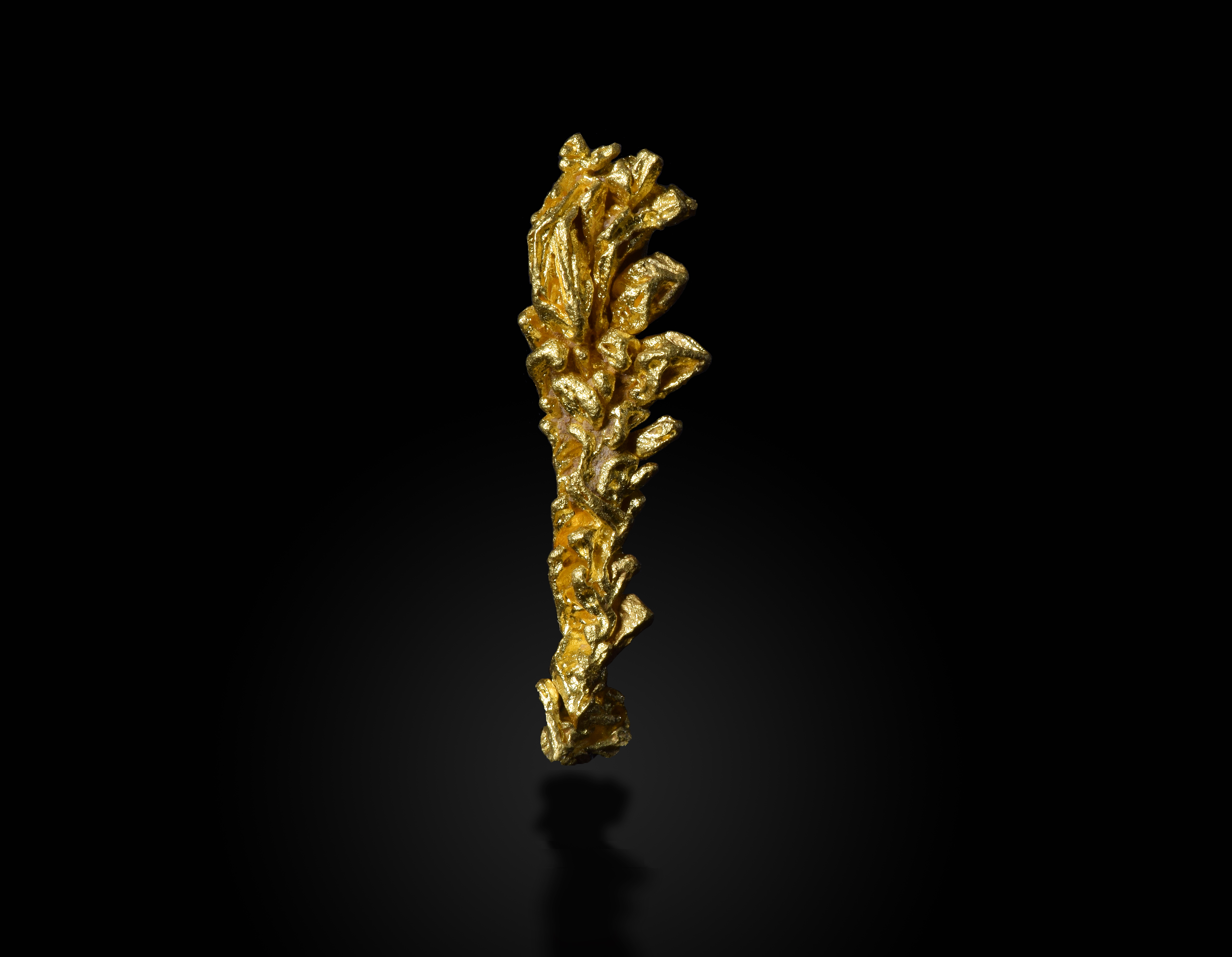 Real photograph of a branching native-gold specimen against a black background, from the U.S. Geological Survey
